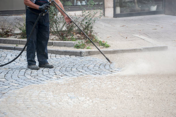 Best Fence Cleaning  in Electra, TX